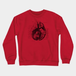 Human Brain Diagram - Anatomy Crewneck Sweatshirt